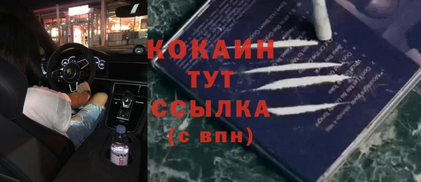 дживик Арсеньев