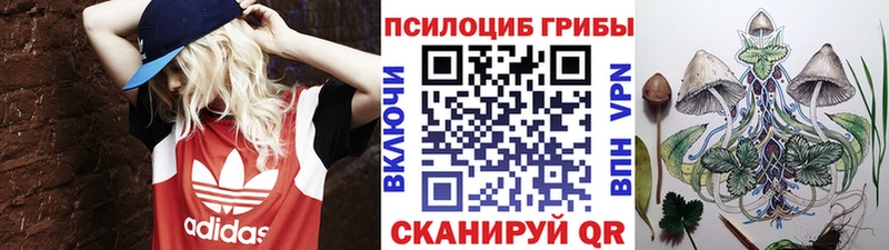 где купить наркоту  hydra как войти  Псилоцибиновые грибы MAGIC MUSHROOMS  Фокино 